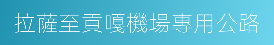 拉薩至貢嘎機場專用公路的同義詞