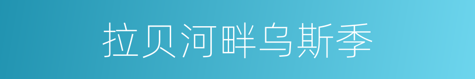 拉贝河畔乌斯季的同义词