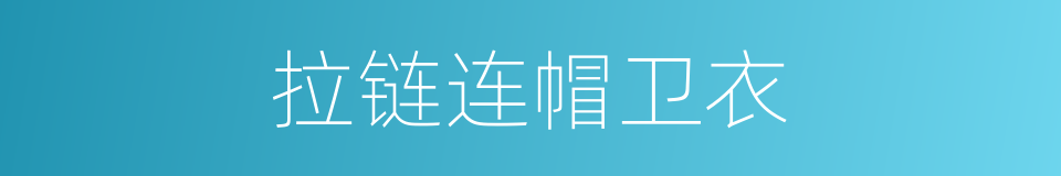 拉链连帽卫衣的同义词