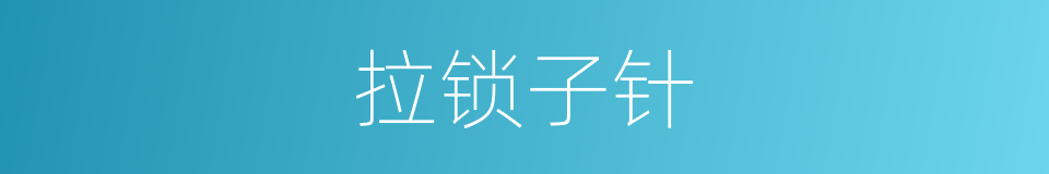 拉锁子针的同义词