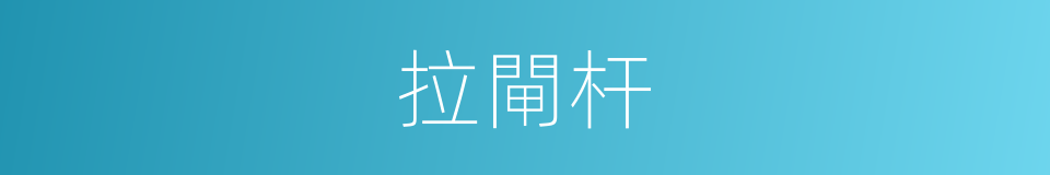 拉閘杆的同義詞