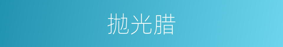 拋光腊的同義詞