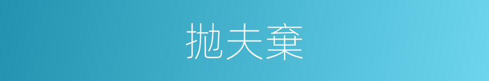 拋夫棄的同義詞