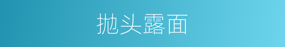 拋头露面的意思