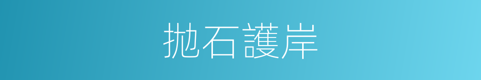 拋石護岸的同義詞