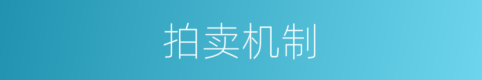 拍卖机制的同义词