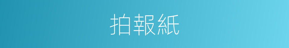 拍報紙的同義詞