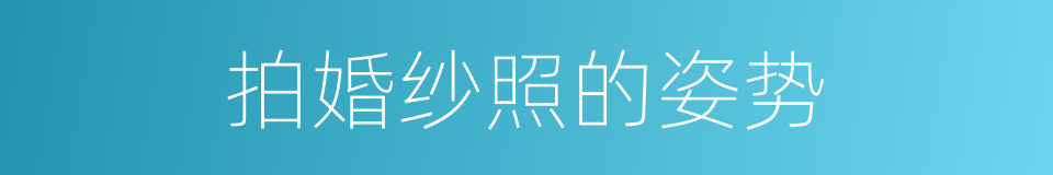 拍婚纱照的姿势的同义词