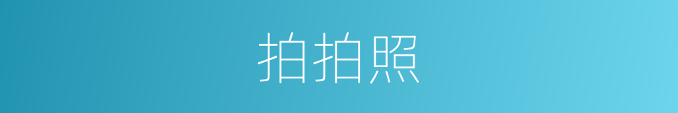 拍拍照的同义词