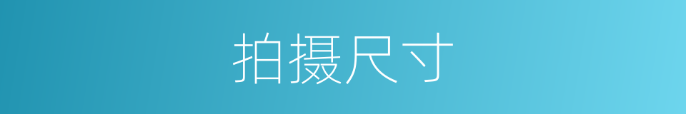 拍摄尺寸的同义词
