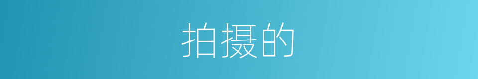 拍摄的的同义词
