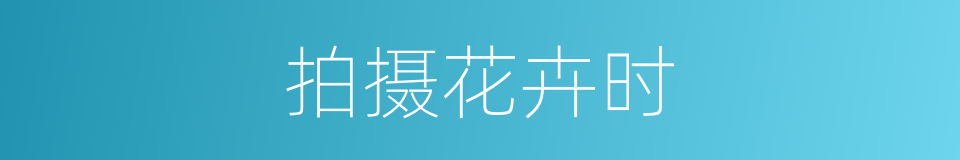 拍摄花卉时的同义词