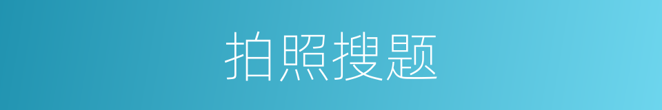 拍照搜题的同义词