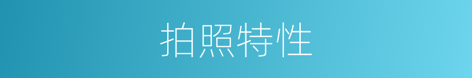 拍照特性的同义词