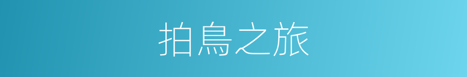 拍鳥之旅的同義詞