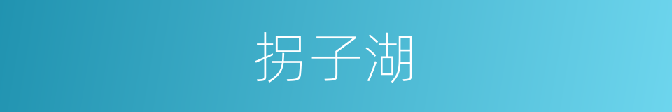 拐子湖的同义词