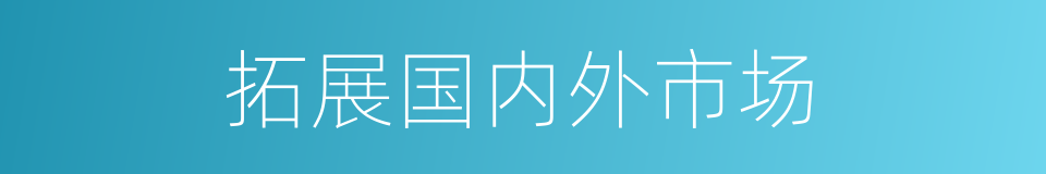 拓展国内外市场的同义词