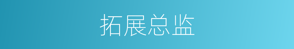 拓展总监的同义词