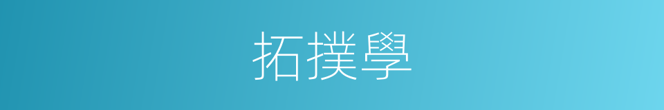 拓撲學的意思