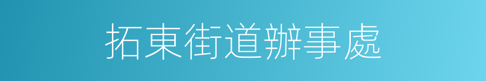 拓東街道辦事處的同義詞