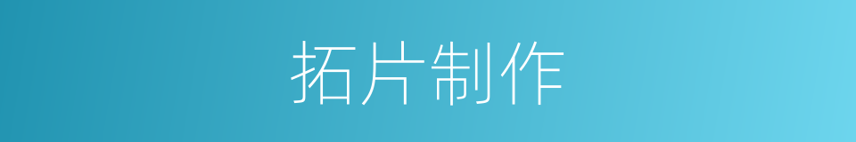 拓片制作的同义词