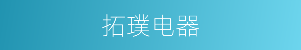 拓璞电器的同义词