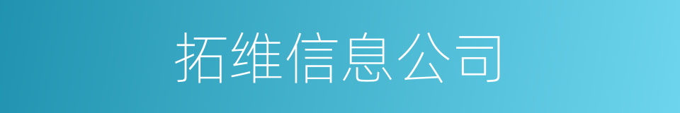 拓维信息公司的同义词