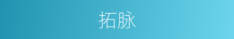 拓脉的同义词