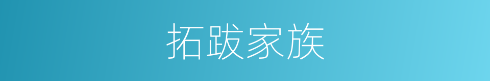 拓跋家族的同义词
