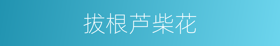 拔根芦柴花的同义词