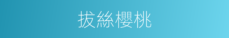 拔絲櫻桃的同義詞