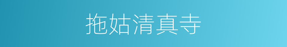 拖姑清真寺的同义词