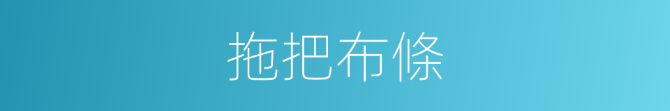 拖把布條的同義詞