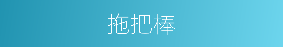 拖把棒的同义词