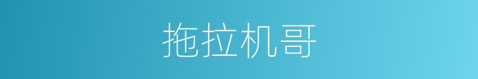 拖拉机哥的同义词