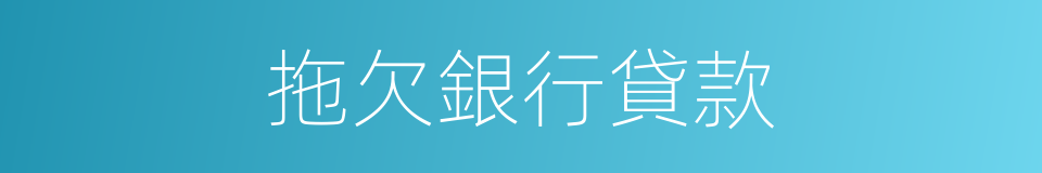 拖欠銀行貸款的同義詞