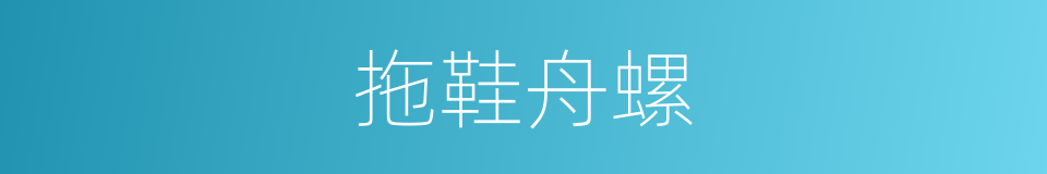 拖鞋舟螺的同义词