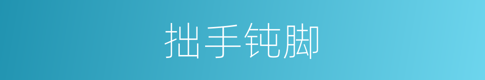 拙手钝脚的意思