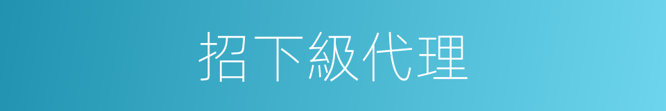 招下級代理的同義詞