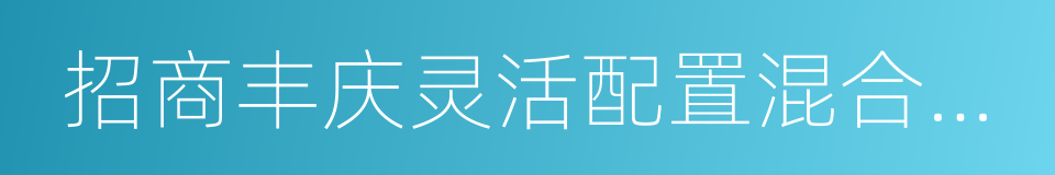 招商丰庆灵活配置混合型发起式证券投资基金的同义词