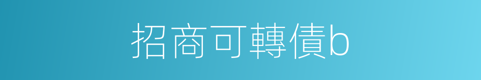 招商可轉債b的同義詞
