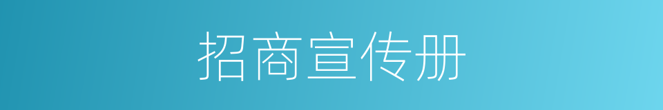 招商宣传册的同义词