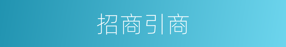 招商引商的同义词