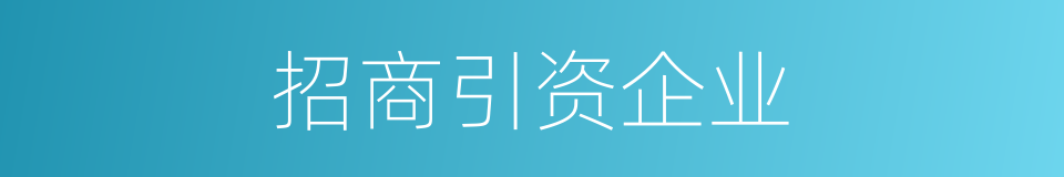 招商引资企业的同义词