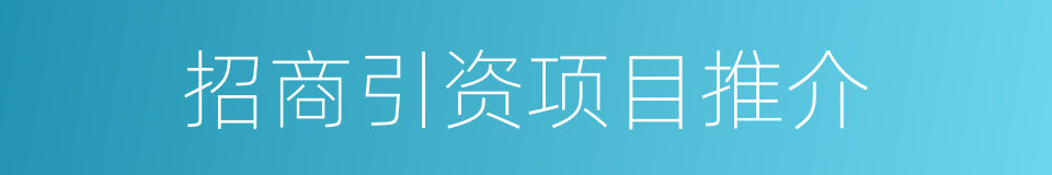 招商引资项目推介的同义词
