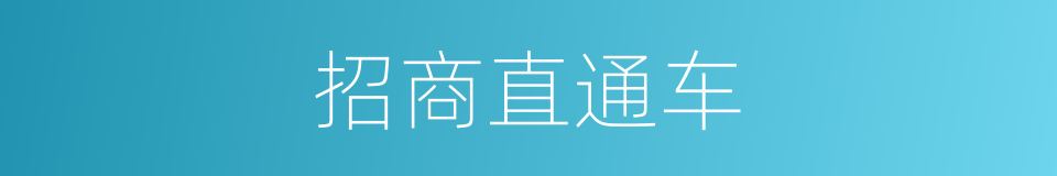 招商直通车的同义词