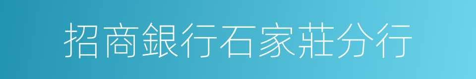 招商銀行石家莊分行的同義詞