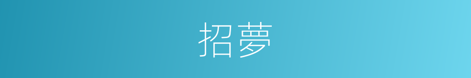 招夢的同義詞