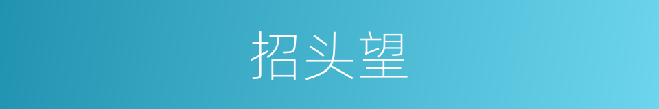 招头望的同义词