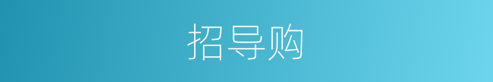招导购的同义词